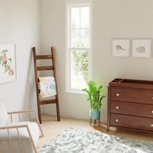 Load image into Gallery viewer, Classic Blanket Ladder - Pipe And Wood Designs 