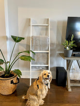 Load image into Gallery viewer, Solid Hardwood Blanket Ladder - Distressed White - Pipe And Wood Designs 